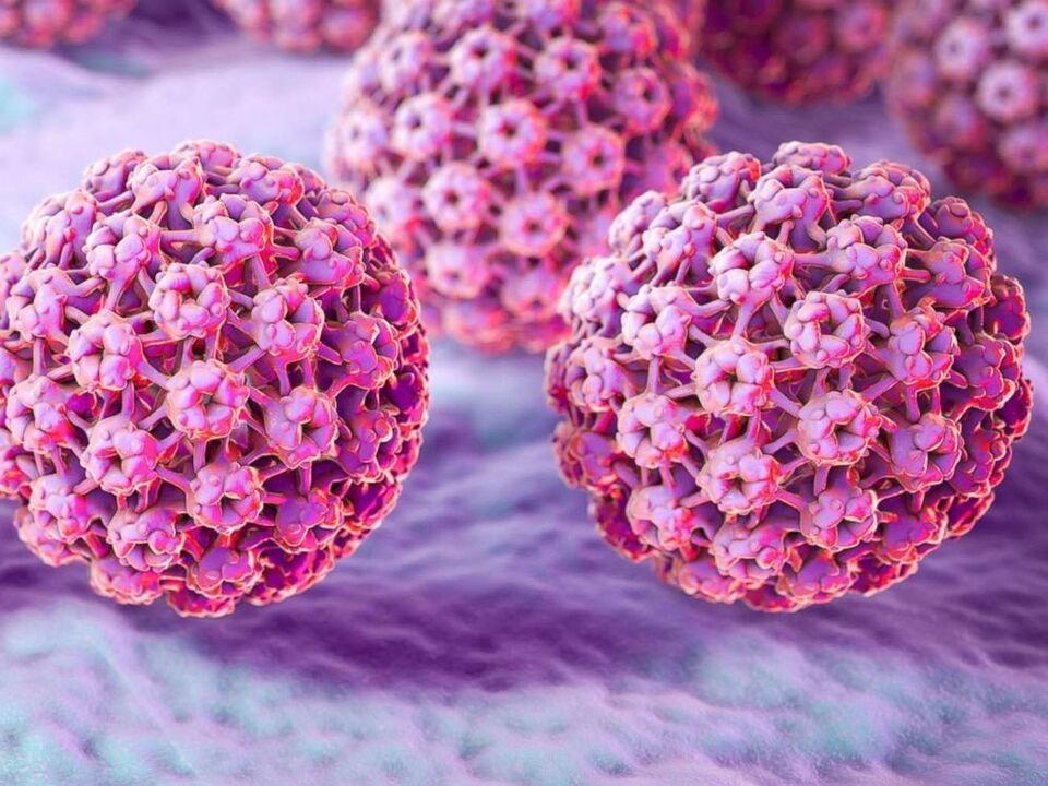 Klassifizierung des Papillomavirus